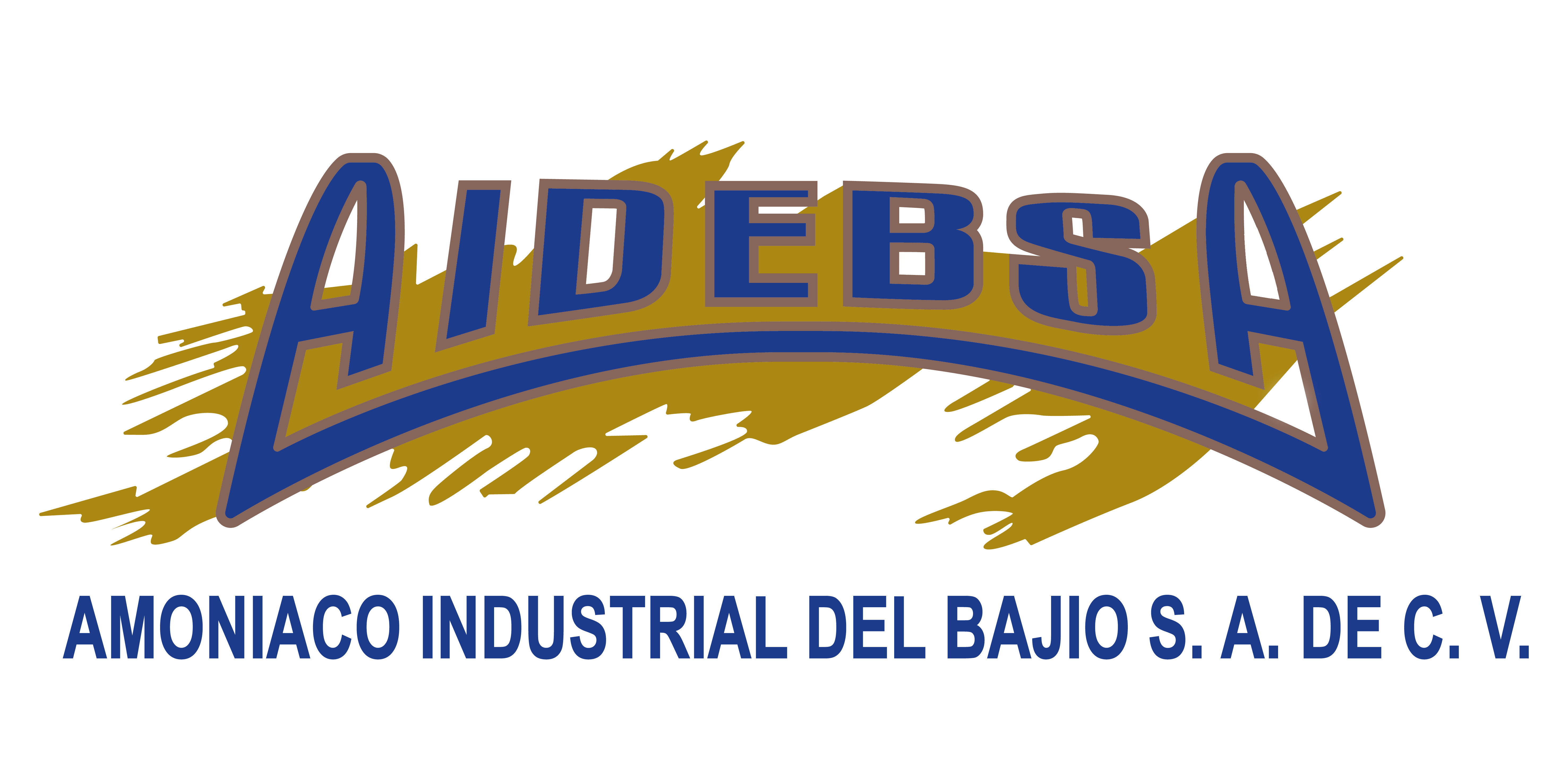 aidebsa%20logo